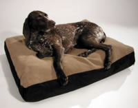 large dog beds